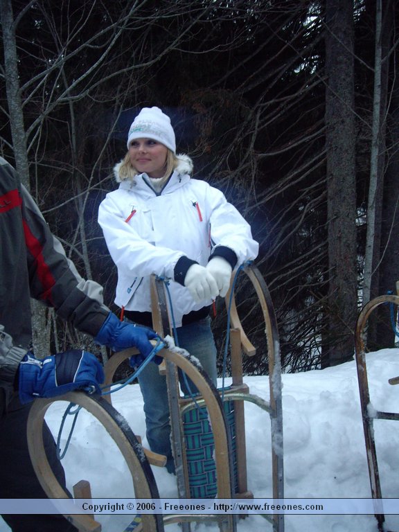 SnowGathering 393.jpg