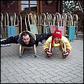 SnowGathering 360.jpg
